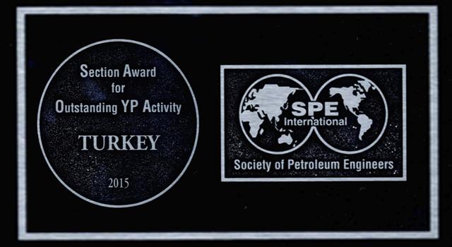 2015 Section Award for Outstanding Young Professional Activitiy